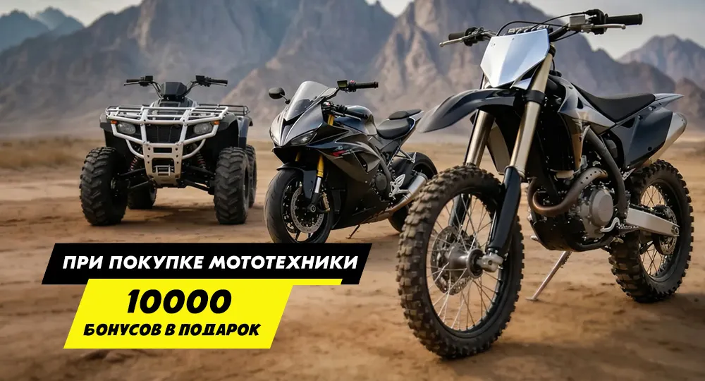 Бонусы в подарок