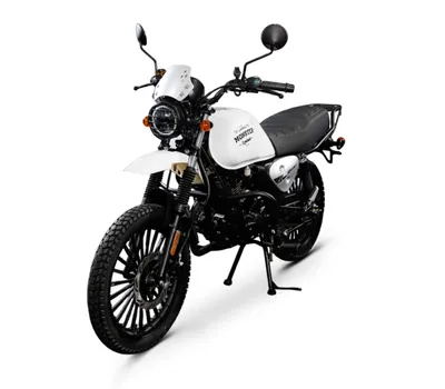 Мотоцикл Regulmoto Monster 200 Мотоцикл Regulmoto Monster 200