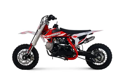 Питбайк Progasi Kids Power 110 (10/10) Питбайк Progasi Kids Power 110 (10/10)