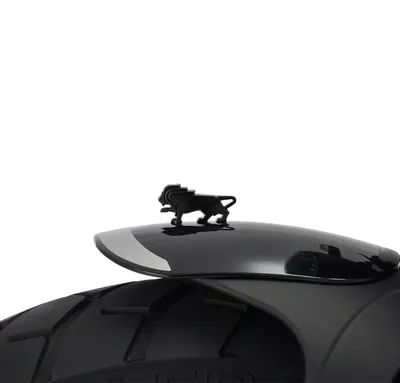 Мотоцикл BENELLI LEONCINO 500 TRAIL Мотоцикл BENELLI LEONCINO 500 TRAIL