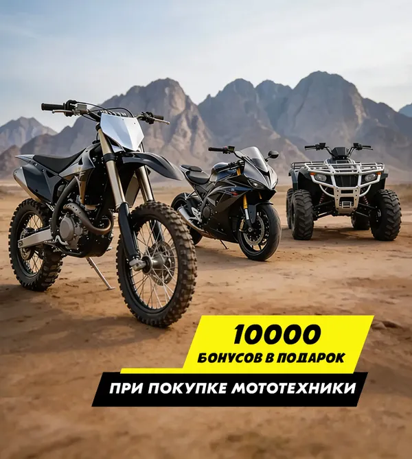 Бонусы в подарок